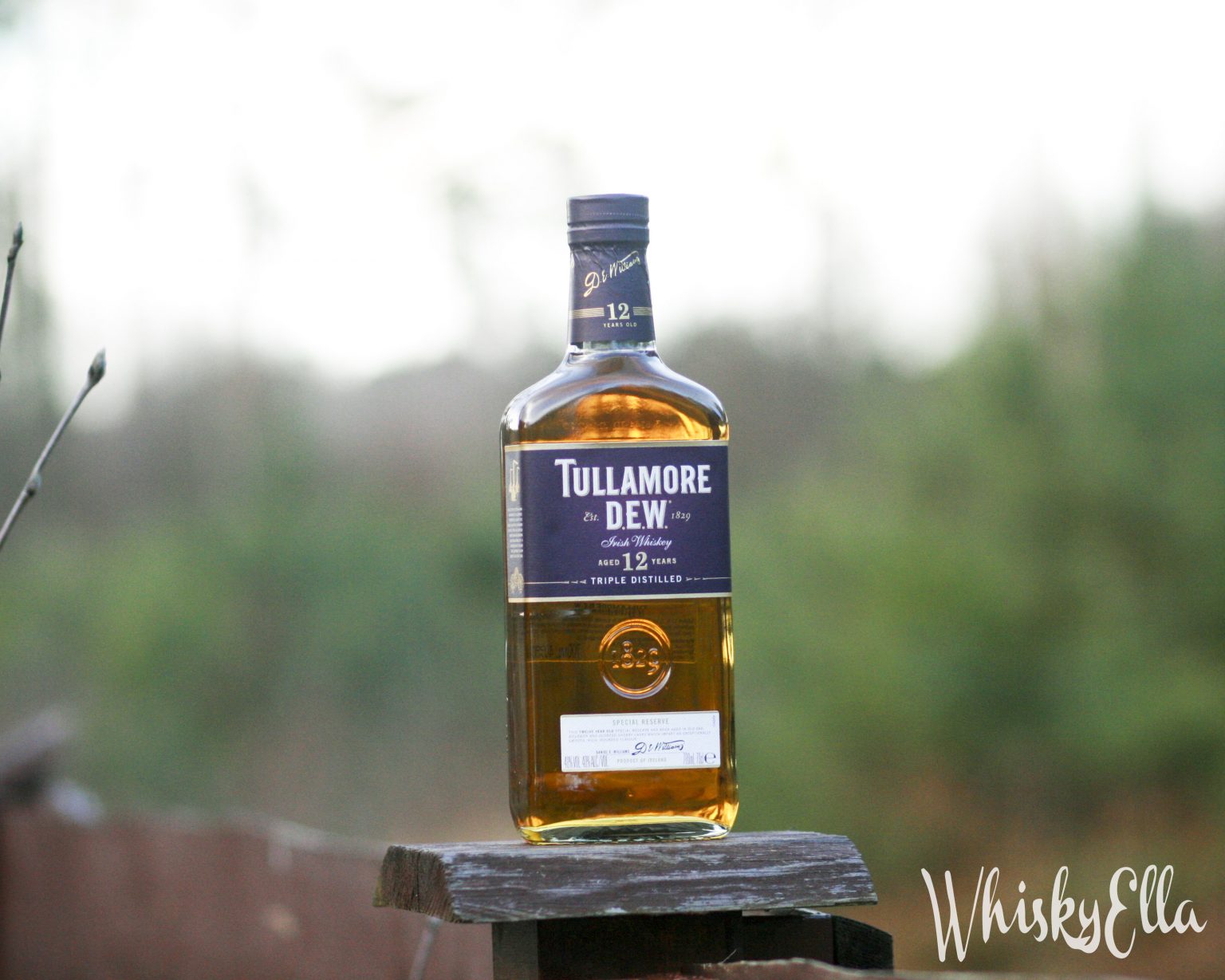 Nasza Recenzja Tullamore Dew Yo Special Reserve Whisky Blog