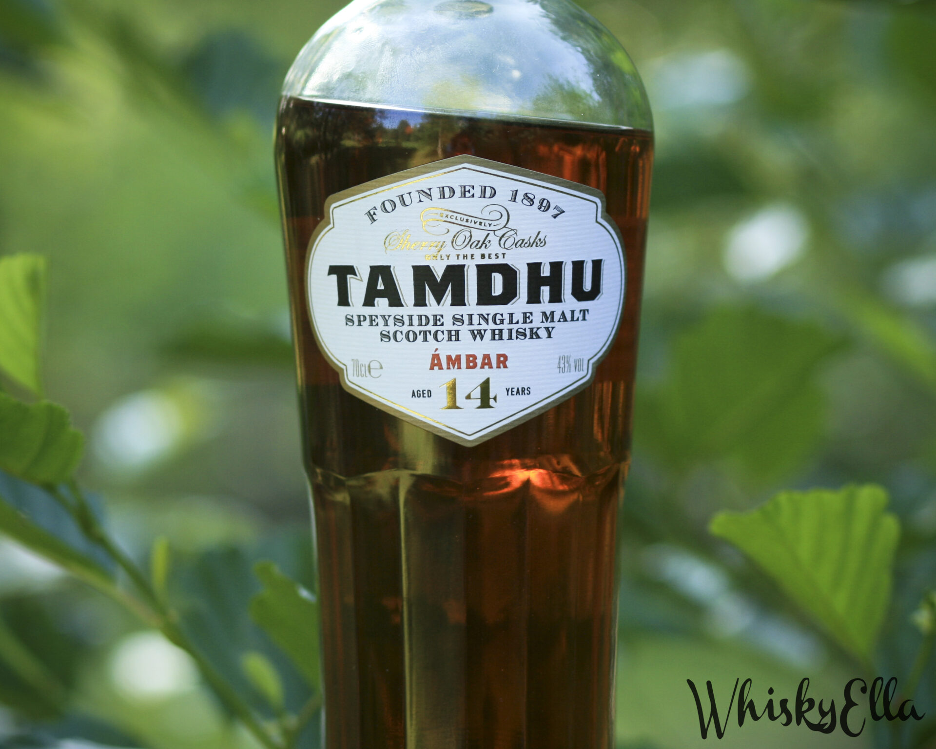 Nasza recenzja Tamdhu Ambar 14 Years #276