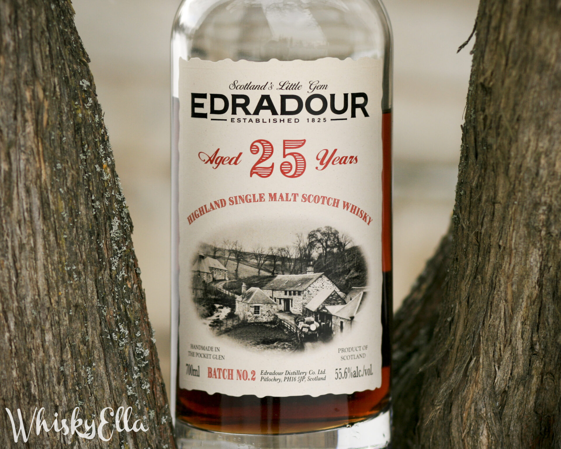 Nasz recenzja Edradour 25 years 1st Fill Oloroso Sherry Butt Batch 2 #291