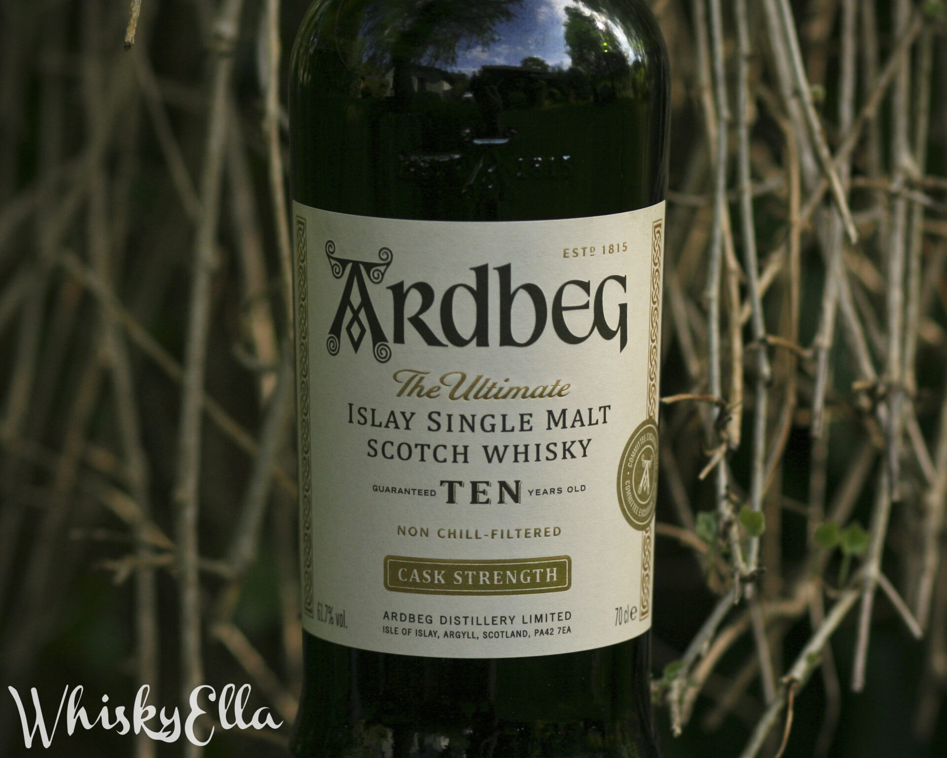 Nasza recenzja Ardbeg Ten Cask Strength #315